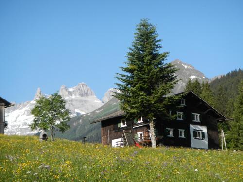 a house on a hill with a tree in a field at Ferienhaus Vollspora in Schruns