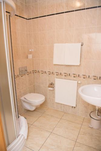 a bathroom with a toilet and a sink at Hotel i Restauracja Borowianka in Ostrów Wielkopolski