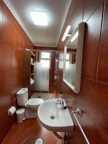 bagno con lavandino, servizi igienici e specchio di APARTAMETOS ELENA 11 a Lajares