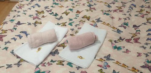 Postel nebo postele na pokoji v ubytování The Historical Family House-Cluj Napoca center