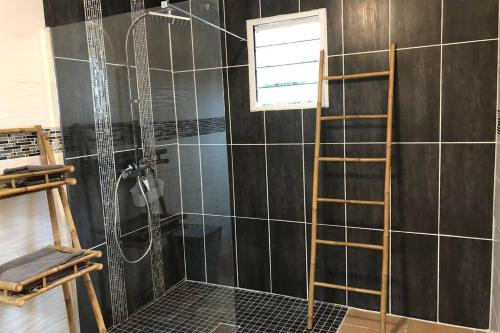 La salle de bains est pourvue d'une douche avec une échelle. dans l'établissement Maison Patelin, à Saint-André