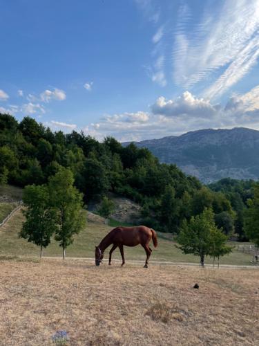 Gallery image of Etno Village Vojnik in Šavnik