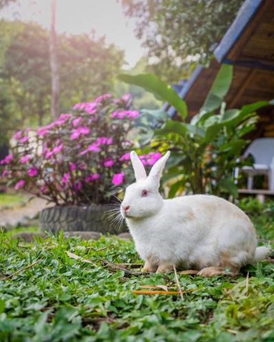 サンタ・ロサ・デ・カバルにあるHotel Campestre Lagos de Venecia - Chalet, glamping, camping y overlandingのギャラリーの写真