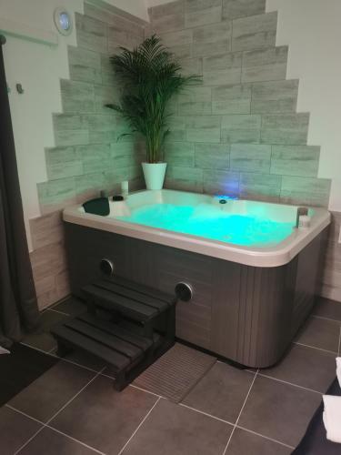 a bath tub with a potted plant in a bathroom at Jacuhomespa13 in Vitrolles