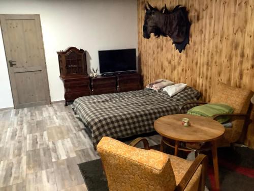 TV a/nebo společenská místnost v ubytování Soukromé ubytování na pile