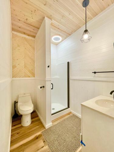 a bathroom with a toilet and a sink at New Tiny cabin Hot tub Firepit Fenced yard in Sevierville