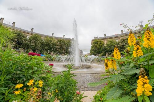 Agreable et moderne appartement Toul centre