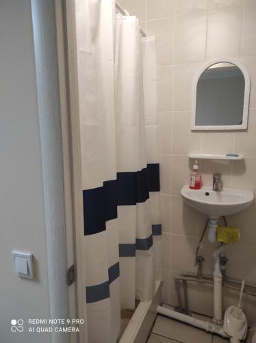 a bathroom with a sink and a shower curtain at Коттедж Науки 65 in Kharkiv