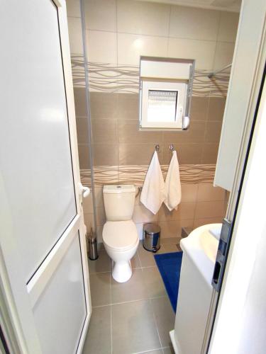 a small bathroom with a toilet and a sink at Celtis Shade House in Virpazar