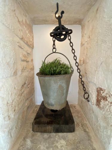 a plant in a pot hanging from a chain at LuX - Exclusive Trulli Relax in Alberobello
