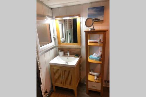 een badkamer met een wastafel en een spiegel bij La cabane de Carol au coeur du bassin d'Arcachon in Le Teich