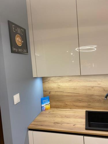 Η κουζίνα ή μικρή κουζίνα στο Apartament Amber