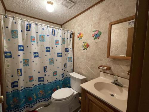 a bathroom with a shower curtain with a toilet and a sink at SOUTHERN STAR cottage in Hatteras