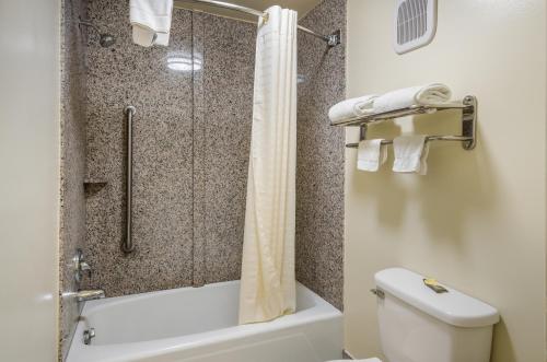 a bathroom with a shower and a toilet at Alpine Motel in Abingdon