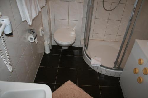 Mosel Weinhotel Steffensberg في إنكيرش: حمام صغير مع مرحاض ومغسلة