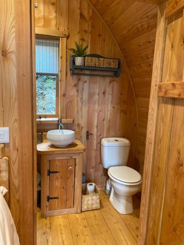 a bathroom with a toilet and a sink in a log cabin at Hendre-Aur Glamping Pod in Machynlleth