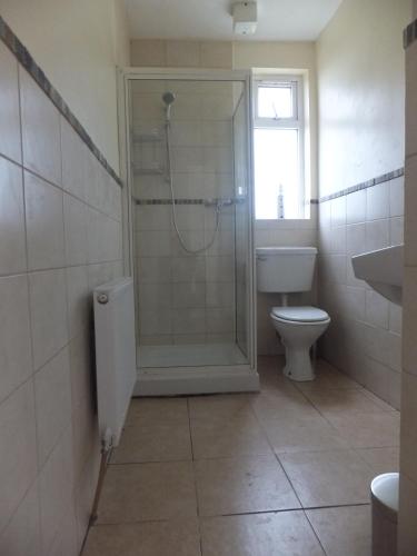 a bathroom with a shower and a toilet and a sink at Argyle Lodge in Rush