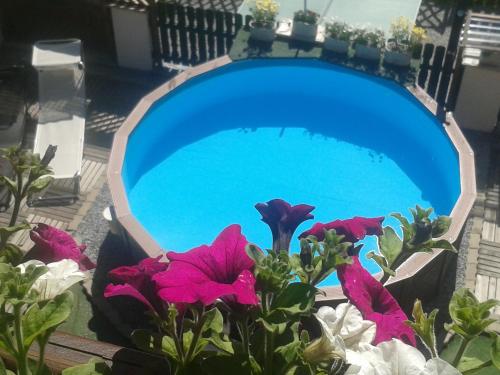 Πισίνα στο ή κοντά στο Apartment Fernerkogel