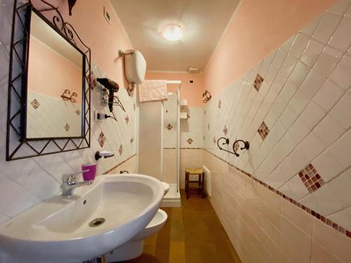 a bathroom with a sink and a mirror at Domos Antigas in Bottidda