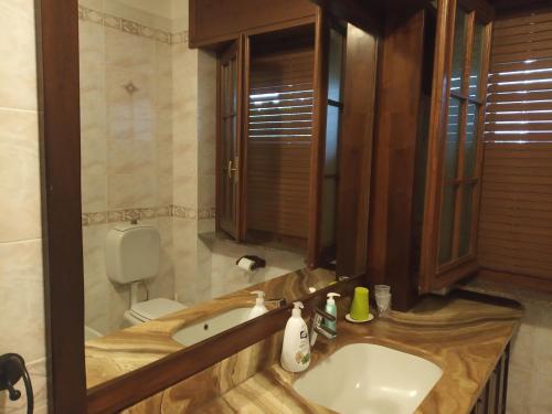 ein Bad mit einem Waschbecken und einem WC in der Unterkunft Bed & breakfast Mezzaluna in Feletto