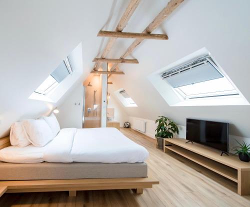 een slaapkamer met een bed en een flatscreen-tv bij Zee van Tijd Holwerd in Holwerd