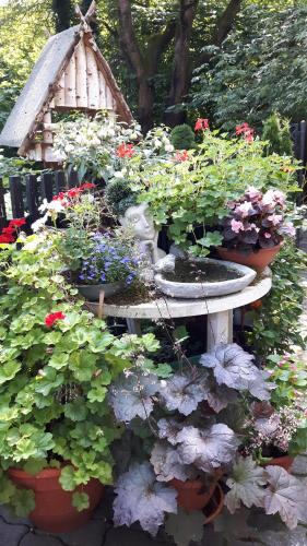 a bunch of flowers in pots on a table at CrossARTig in Zwickau