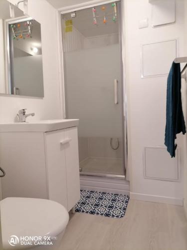 une salle de bain avec une douche, des toilettes et un lavabo dans l'établissement Studio aménagé en sous sol, à Arcachon