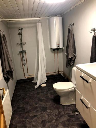 een badkamer met een toilet en een douche bij Natursköna Gysinge in Österfärnebo