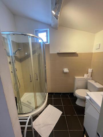 une salle de bain avec douche et toilettes dans l'établissement le volailler, à Lempaut