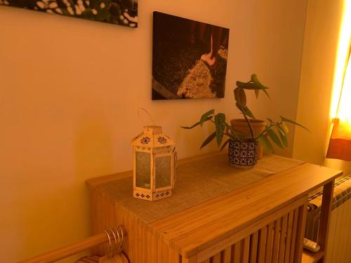 a wooden table with a lantern and a plant on it at Agriostello Riparo in Anzio