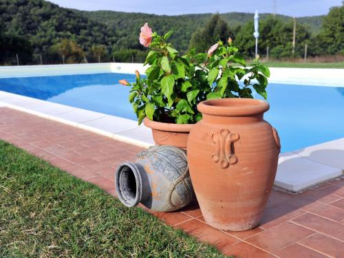 un vaso da fiori e un vaso da fiori accanto a una piscina di Apartment Agriletizia by Interhome a La Pesta