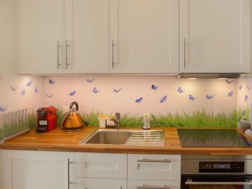 eine Küchentheke mit einem Waschbecken und blauen Vögeln an der Wand in der Unterkunft Studio Eperon by Interhome in Crans-Montana