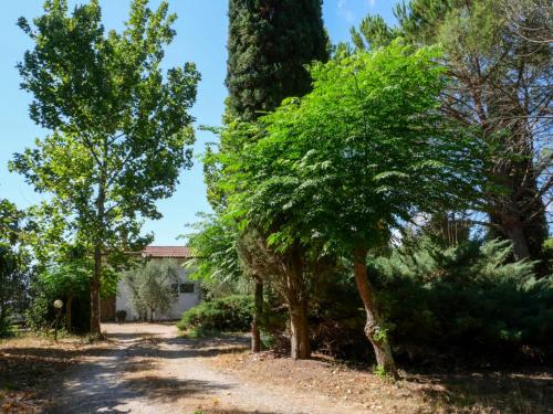 BraccagniにあるHoliday Home Calvello by Interhomeの家の前の木々の通路
