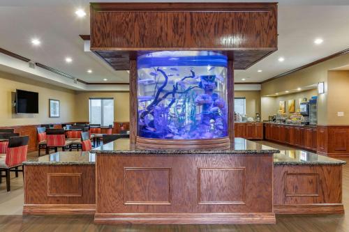 Fotografie z fotogalerie ubytování Comfort Suites Near Texas A&M - Corpus Christi v destinaci Corpus Christi
