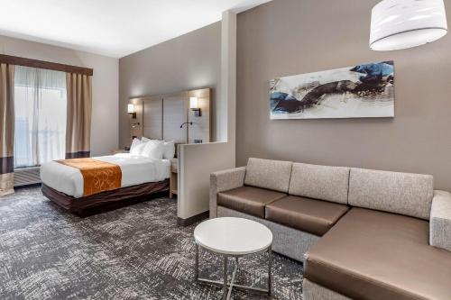 Habitación de hotel con cama y sofá en Comfort Suites Anderson-Clemson en Anderson