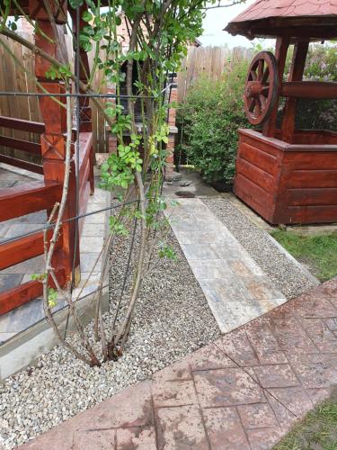 a plant in a garden next to a building at Jasmine Residence in Prejmer