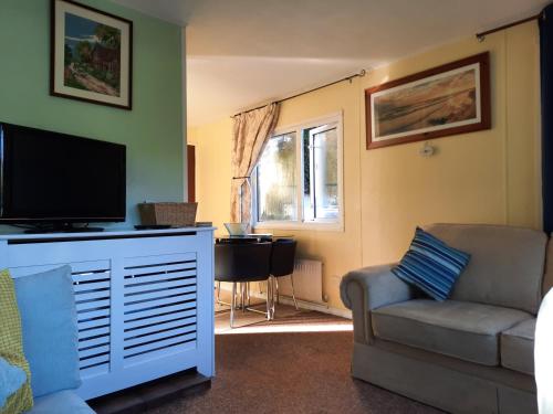 a living room with a television and a couch at Cerdyn Villa in Llanwrtyd Wells