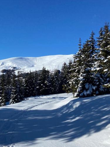 Holzknechthütte durante l'inverno