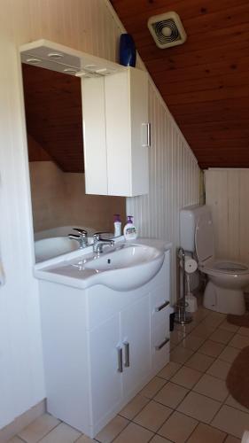 a bathroom with a sink and a toilet at Pri Šimenc in Mengeš