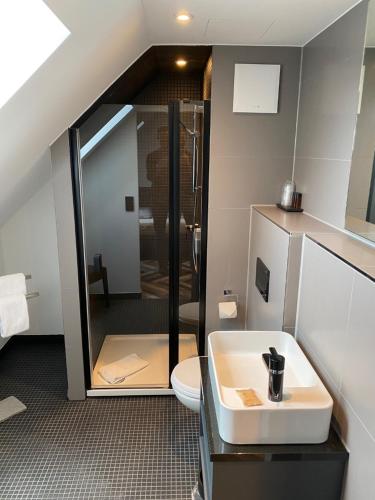 慕尼黑的住宿－Munich Deluxe Hotel，带淋浴、盥洗盆和卫生间的浴室