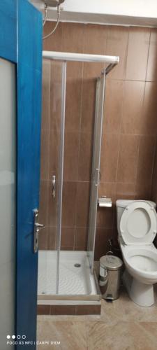 a shower stall in a bathroom with a toilet at Carpe diem in Galatas