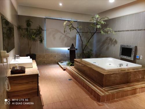 大溪區的住宿－碧雲天汽車旅館-大溪館，带浴缸和盥洗盆的大浴室