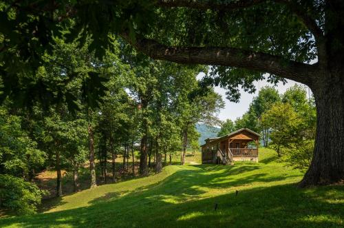a barn in the middle of a field with a tree at Engadine Inn and Cabins in Candler