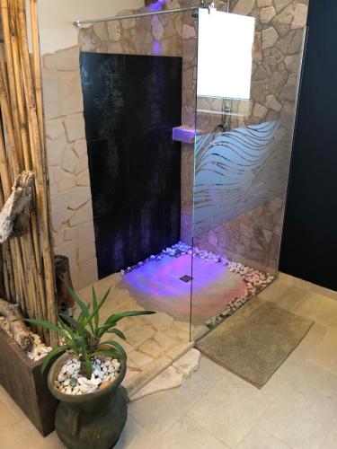 a shower with a potted plant in a bathroom at Masseria Petra in Martano