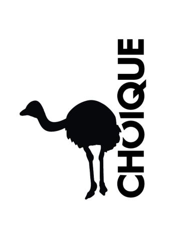 an illustration of an ostrich with the textosaurus at Ruca Kiñe Hostel in Las Grutas