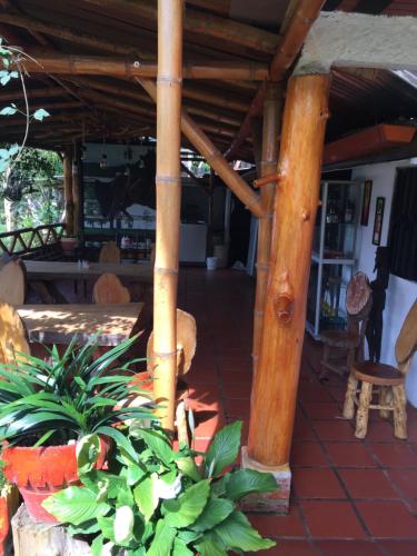 a wooden pergola with plants on a patio at CABAÑA LOS NOGALES in San Agustín