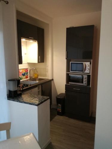 une petite cuisine avec un évier et un micro-ondes dans l'établissement Le Provence, à Gréoux-les-Bains