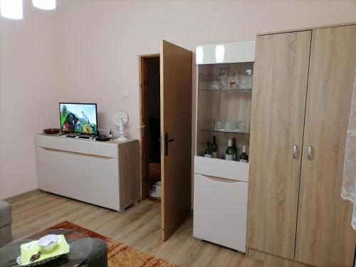 um quarto com uma cozinha com uma televisão e armários em Apartman Visnja em Rudnik