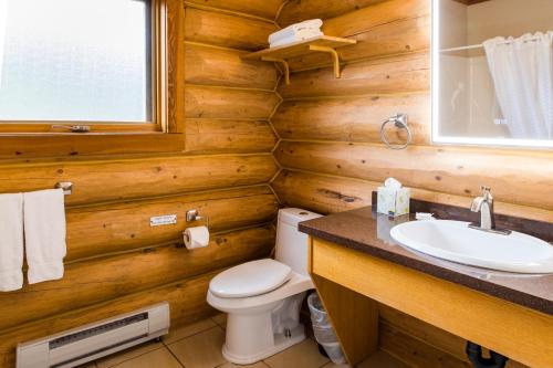 a bathroom with a toilet and a sink at Glacier House Hotel & Resort in Revelstoke