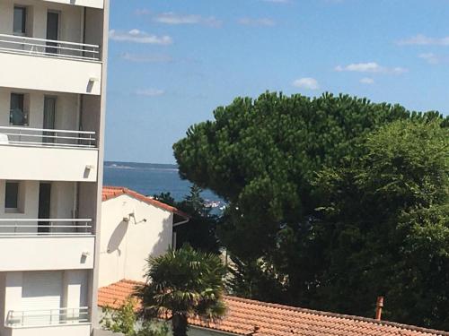 Φυσικό τοπίο κοντά σε αυτό το διαμέρισμα